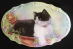 Cats1i