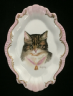 Cats1l