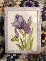 Flowers 1u