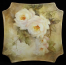 Roses1h