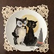 Cats1m