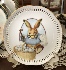 Rabbits1p