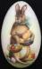 Rabbits1m