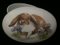 Rabbits1b