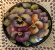 Flowers 1r