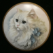 Cats1b