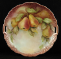 Fruit1i