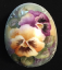 Eggs 1q