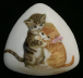 Cats1d
